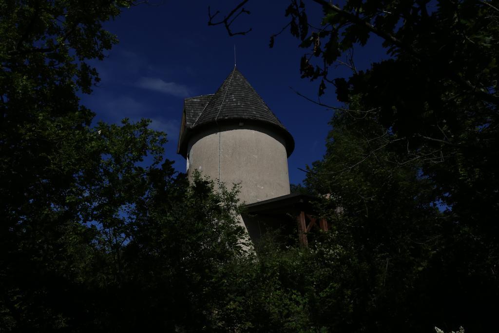 Moulin De Rouze Castelnaud-de-Gratecambe Quarto foto