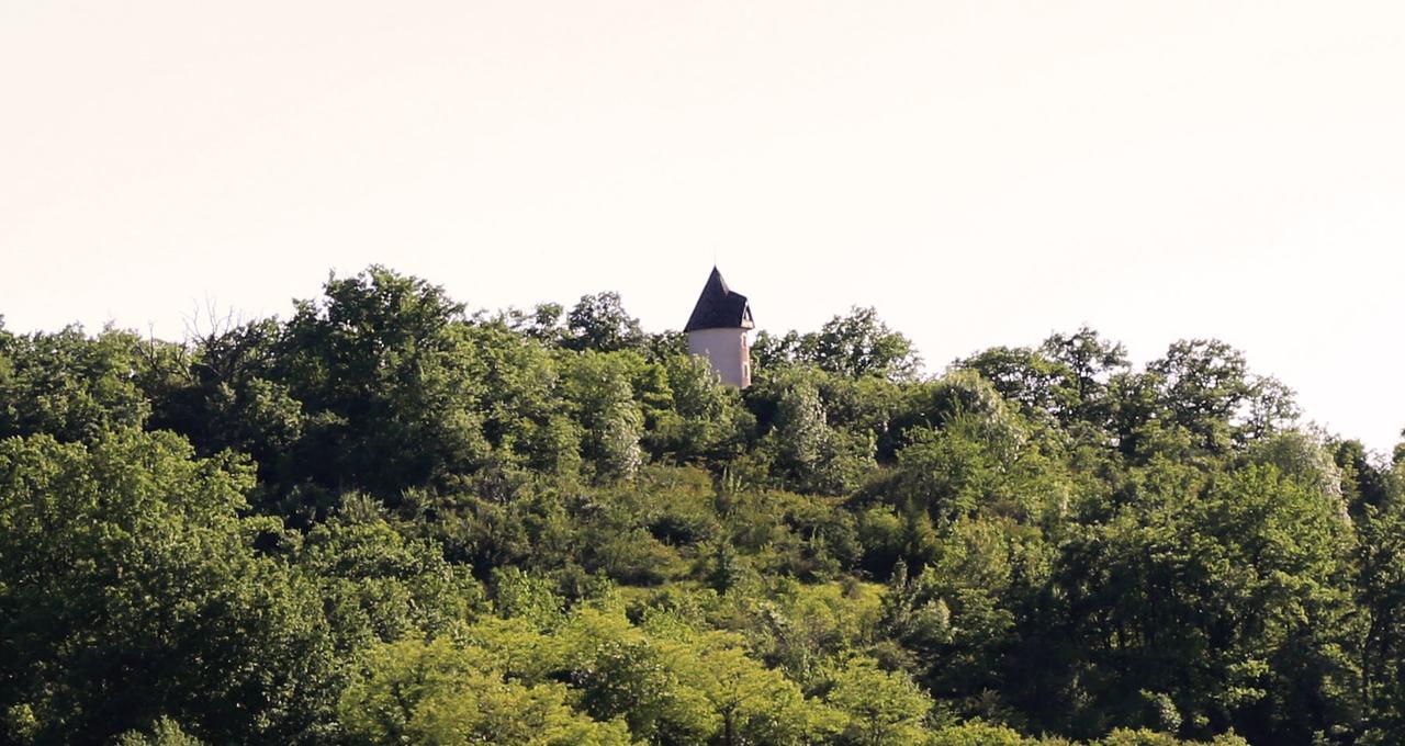 Moulin De Rouze Castelnaud-de-Gratecambe Exterior foto